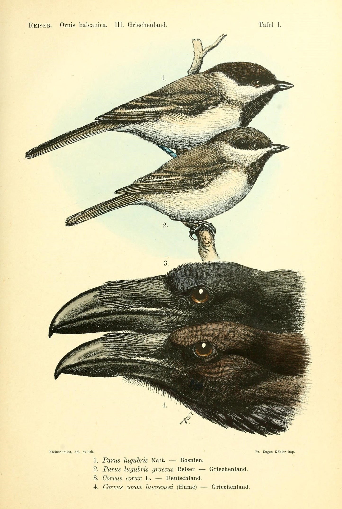 archive1888