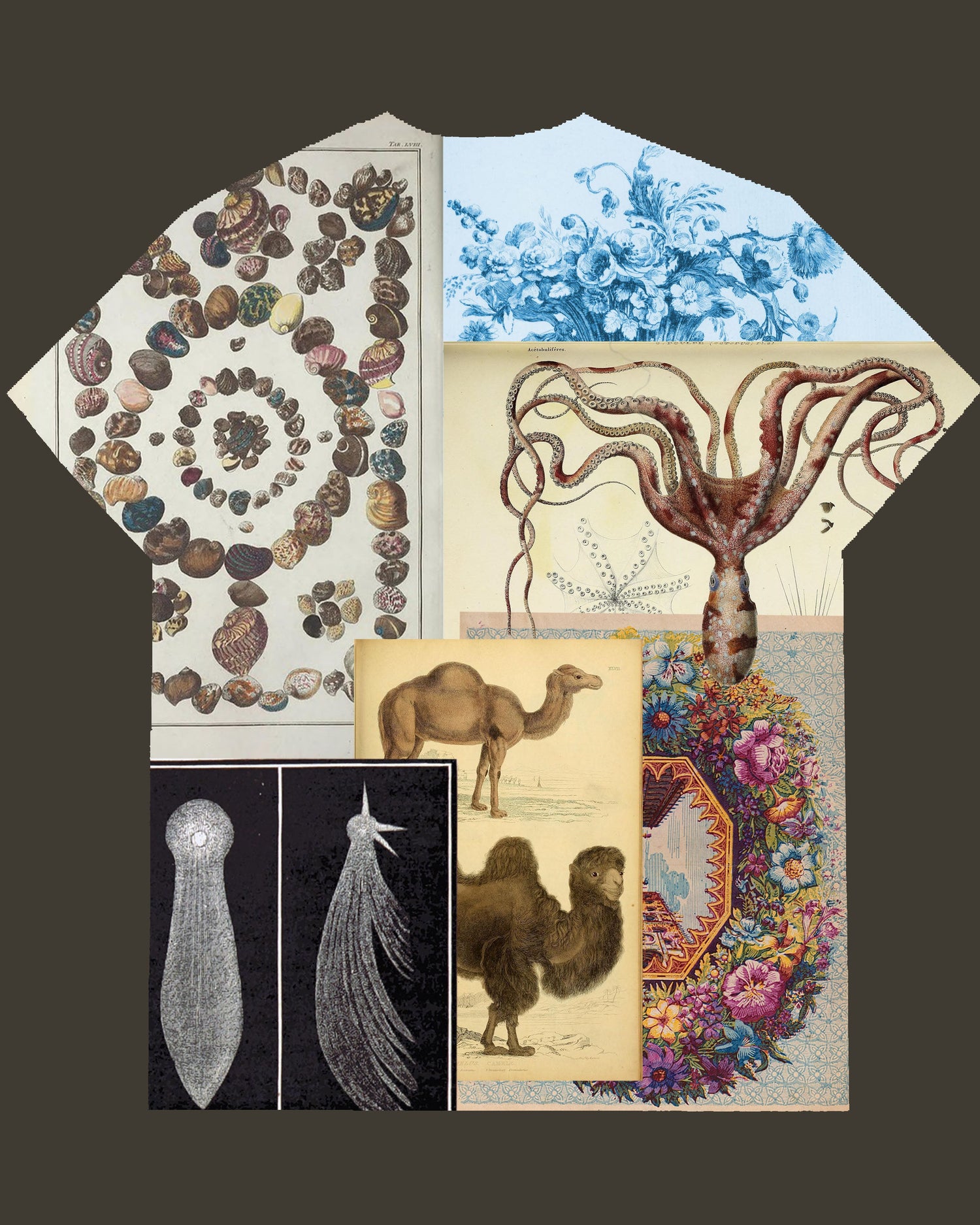 Specimens
