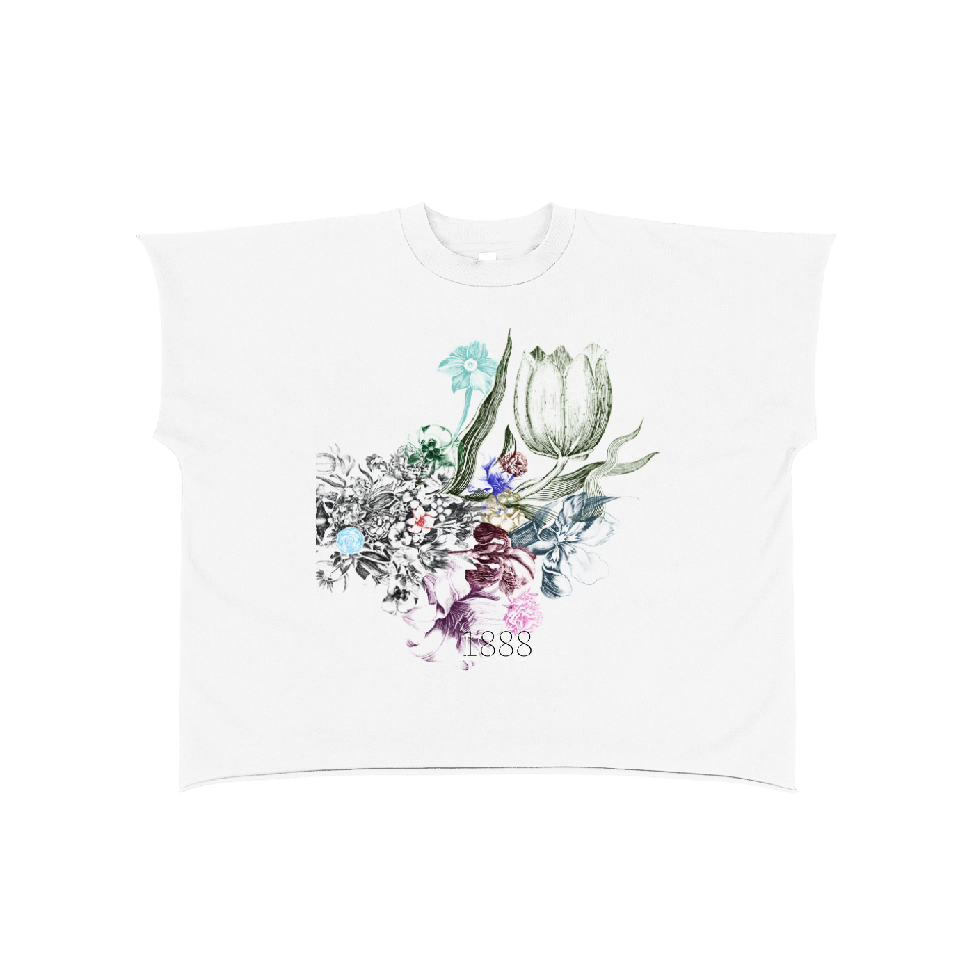 archive1888,specimentserie